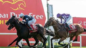 Family fun  on the cards at Tipperary Racecourse 