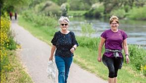 Blueway path is being upgraded near Carrick-on-Suir this week