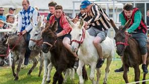 Tipperary people expected to flock to 154th Clonmel Show this Sunday