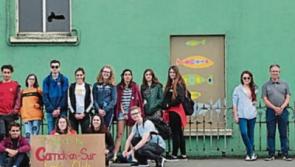 International youth Lions Club members spruce up rundown building in Carrick-on-Suir