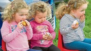 All roads lead to Killusty on Saturday for Tipperary's famed Pony Show