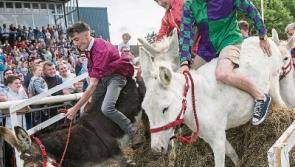 Visitor numbers at Clonmel Show matched event’s turnout record, according to organisers  