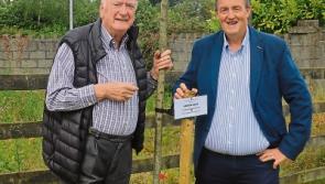 Roscrea People, Tidy Towns, and Community Employment scheme join forces in tree planting campaign 