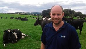 New head at Tipperary-based herd improvement company