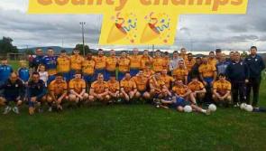 Clonmel Og win Tipperary League Division 2 football title