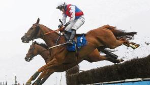 Ocean Glandore makes it back-to-back wins at Tipperary races