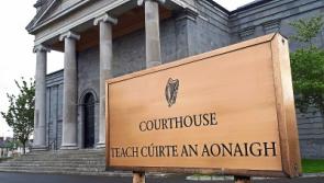 Tipperary man is fined &euro;350  for number of dog offences in Roscrea