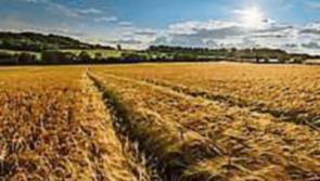 Tipperary reseeding demonstration at Horse and Jockey farm