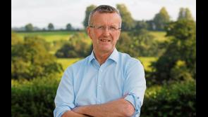 Tangible support needed for farmers in the Budget - IFA