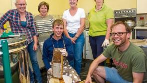 South Tipperary Beekeepers are busy-bees with beginners classes