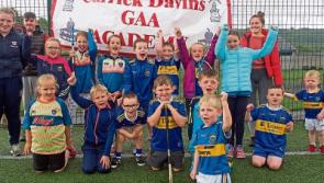 Fifty young GAA stars of the future cheer on Tipperary hurlers at Carrick Davins Cúl Camp