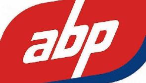 Injunction granted against blockading at two Tipperary meat plants