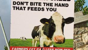 Farmers temporarily suspend protest at Cahir’s ABP plant today to allow Chinese inspection go ahead