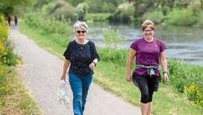 Co. Tipperary Lions Clubs organise Suir Blueway walk to Kilsheelan