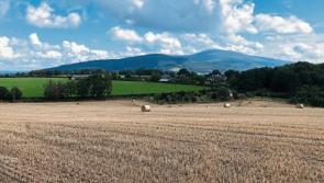 Clonmel land sells for €740,000, or €18,500 per acre, at Tipperary auction