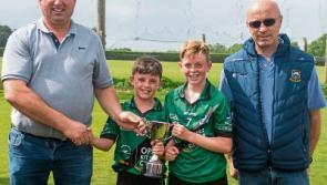 Hurling history - Clerihan capture first-ever Tipperary county title