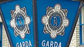 Tipperary gardai warn public to not leave valuables in cars after wallet theft in rural community