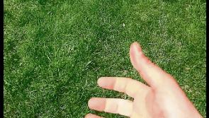 Appeal to 'Sod Off' while Tipperary GAA field is undergoing repair