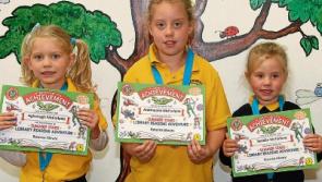 Roscrea library ‘summer stars’ challenge encourages children to read during the summer months