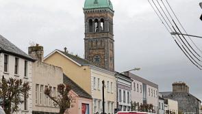 WOW! Petition to save Clonmel's Trees gets More than 2,000 signatures