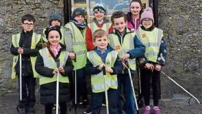 Terryglass wins €3,900 as Tipperary’s tidiest town, village