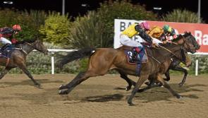 Tipperary jockey Gavin Ryan enjoys big win at Dundalk