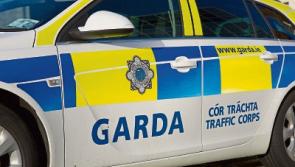 Two arrested after €52,000 worth of cannabis seized in Tipperary drugs raid