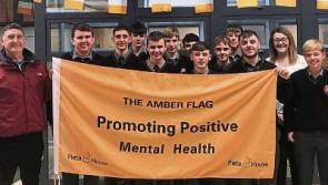 Co. Tipperary school receives flag for its positive mental health campaign