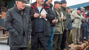 National Coursing Meeting in Tipperary gets the go-ahead