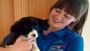Vet working in Cahir is South Tipperary’s representative in the Queen of the Land Festival 