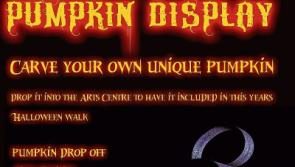 Community pumpkin carving display in Tipperary