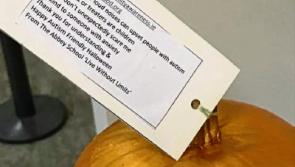 Tipperary students helping those with autism to enjoy Halloween festivities