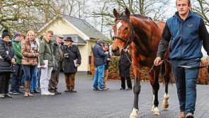 Tipperary stud participating in Irish Stallion Trail