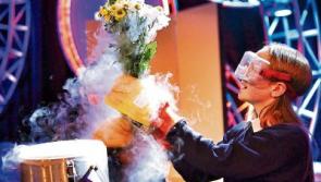 Seventeen Tipperary entries in the BT Young Scientist and Technology exhibition