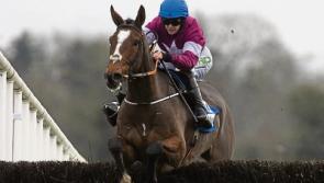 More success for top Tipperary jockey Rachael Blackmore