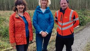 Tipperary forest owners angry with minister over ash dieback disease