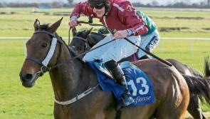 Tipperary horseracing - big win on the track to add to hurling glory for Borris-Ileigh