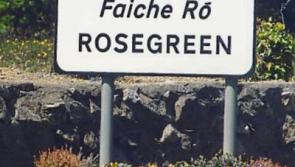 Rosegreen gears up for December 6 winter concert