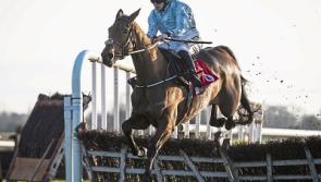 Tipperary jockey Rachael Blackmore describes Honeysuckle as 'definitely special'
