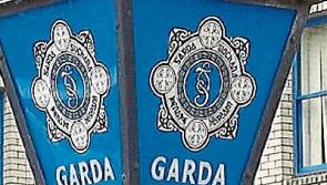Gardai stop sulky racing on main road in Co. Tipperary 