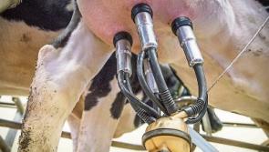 Once a day milking conference planned for Tipperary in January