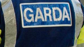 Gardai seize €1000 worth of suspected cannabis herb in search at Co. Tipperary house