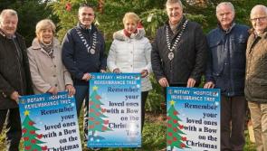 Tipperary remembrance tree will aid South Tipperary Hospice this Christmas