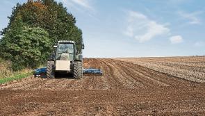 Improved crop returns for Tipperary tillage farmers in 2018