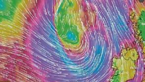 Gardai warn motorists that fallen trees blocking two roads near Tipperary Town this morning 