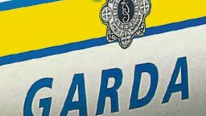 Tipperary gardai renew appeal for witnesses following fatal Clonmel road accident