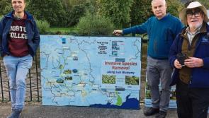 Protecting Tipperary's precious River Suir
