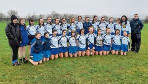 Scenes of great joy as Tipperary school capture Munster camogie crown