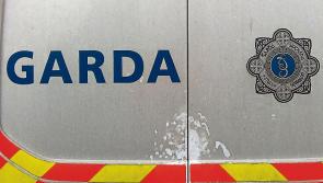 20 year old man arrested after firearms incident and seizure of loaded shotgun
