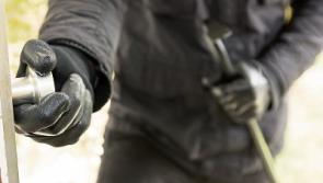 Gardai appeal for help in tracing men who tried to break into rural Co. Tipperary home 